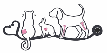 Tierarztpraxis Jena Ammerbach | Dres. Schaub & Team